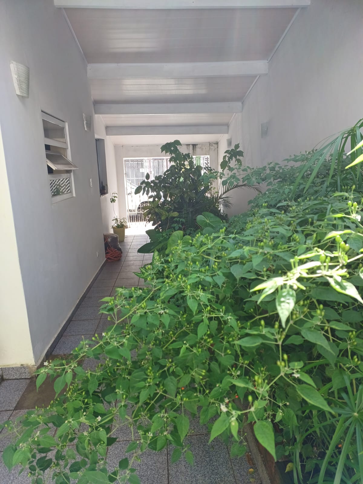 Casa A venda / Térrea no Parque Terra Nova I SBC