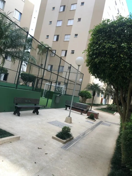 Apartamento A Venda Bairro Independência SBC 